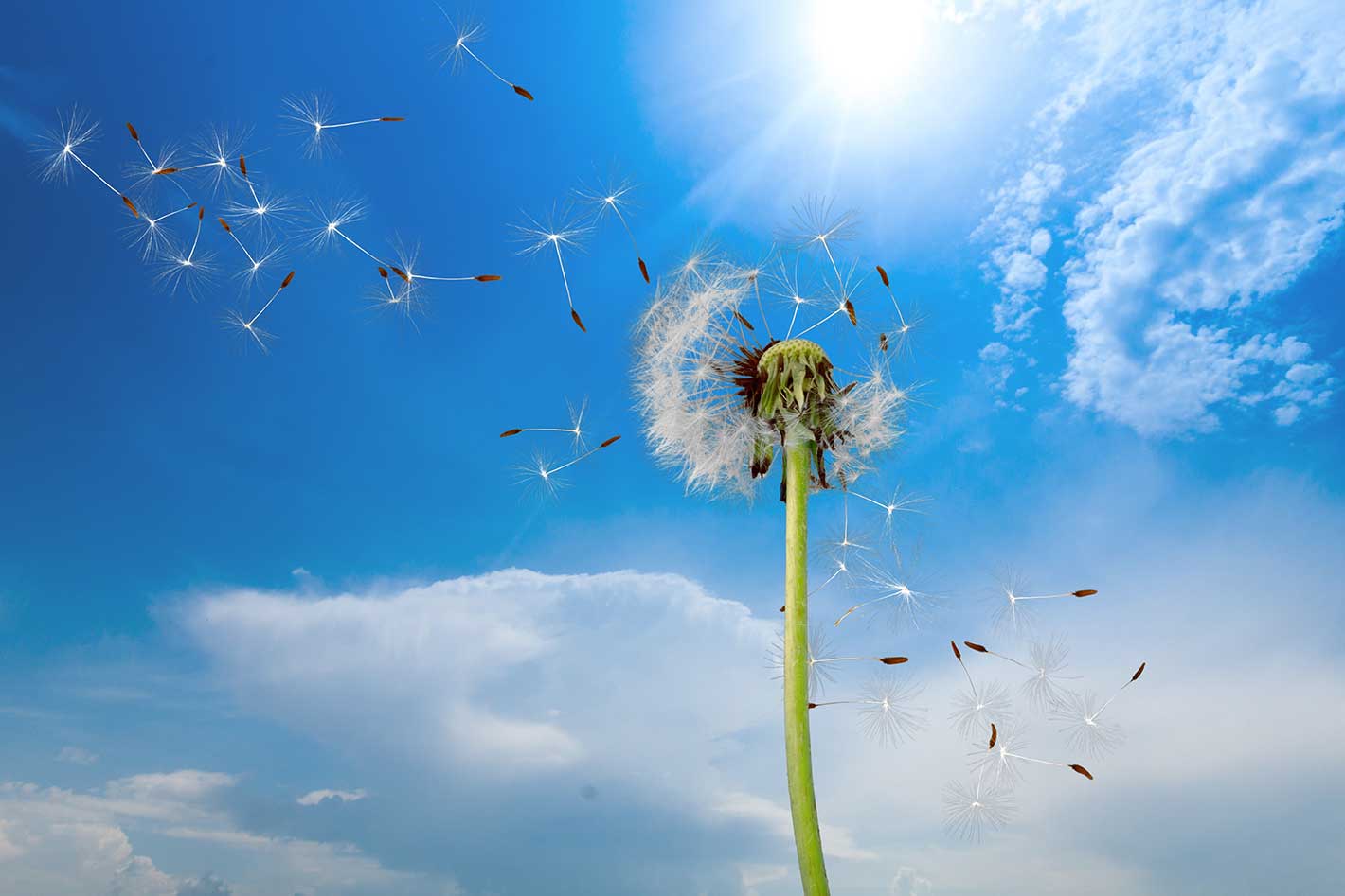Infiltro | Fabricación, distribución y venta de filtros de aire para la industria