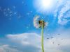 Infiltro | Fabricación, distribución y venta de filtros de aire para la industria